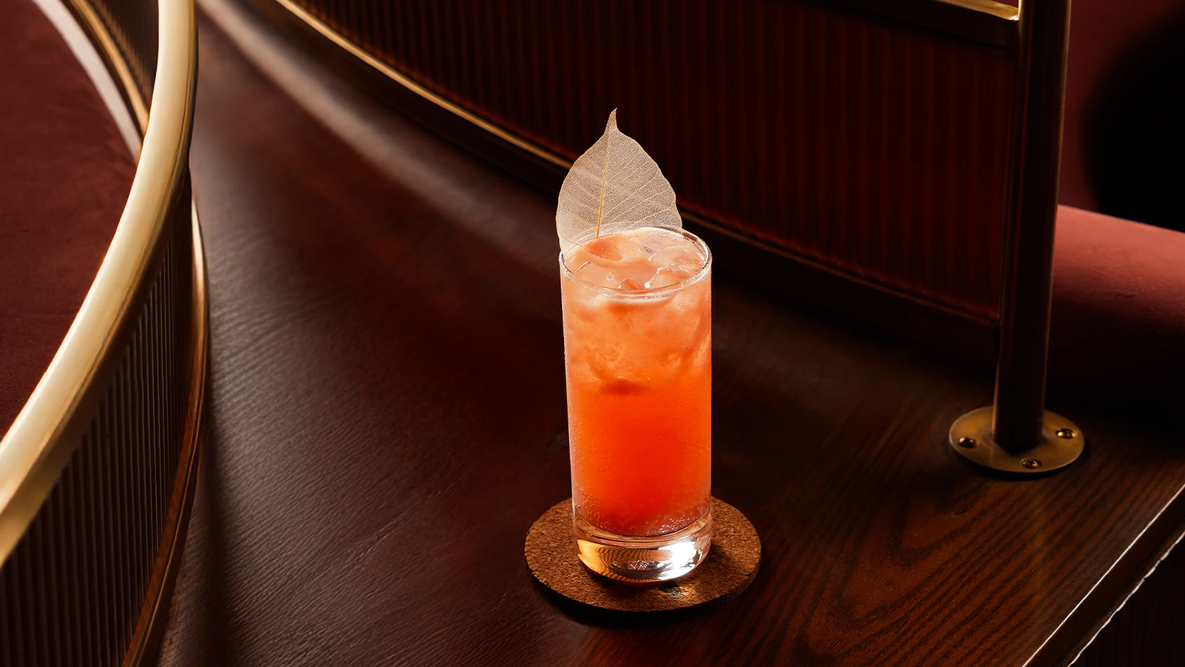 Bar Business Plan India: How to Write One That Gets Funded